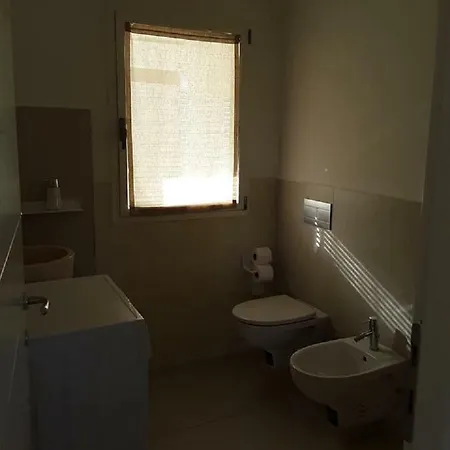 Cormorani * Golfo Aranci