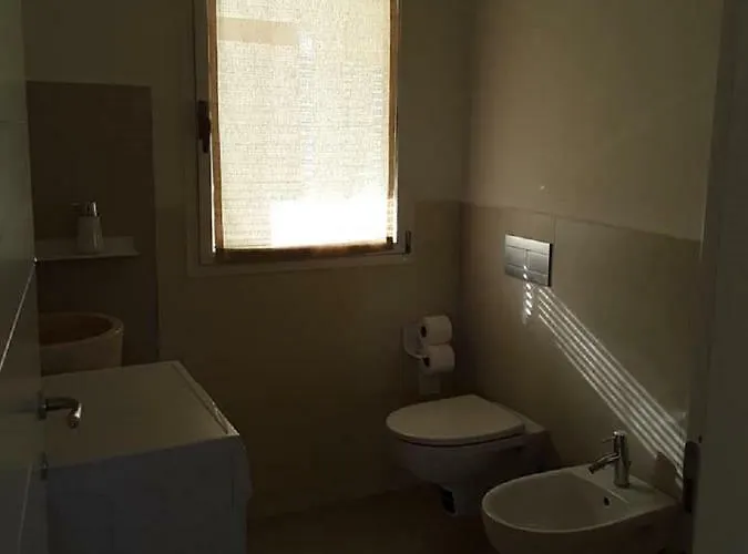 Cormorani * Golfo Aranci